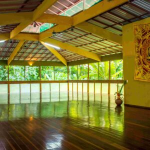 Costa Rica 2027 handstand retreat