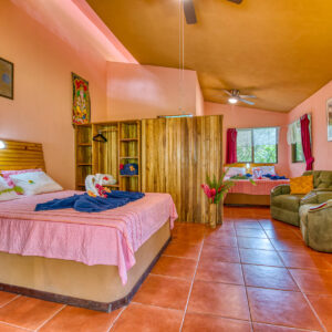 Costa Rica 2027 handstand retreat - Single occupancy